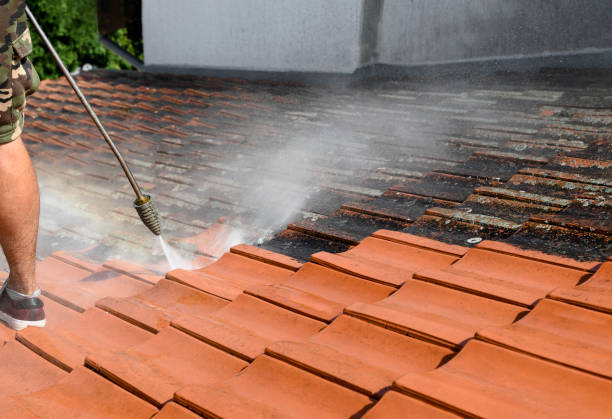 Best Pressure Washing Company Near Me  in Shrewsbury, MO