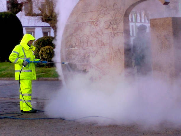 Best House Pressure Washing  in Shrewsbury, MO